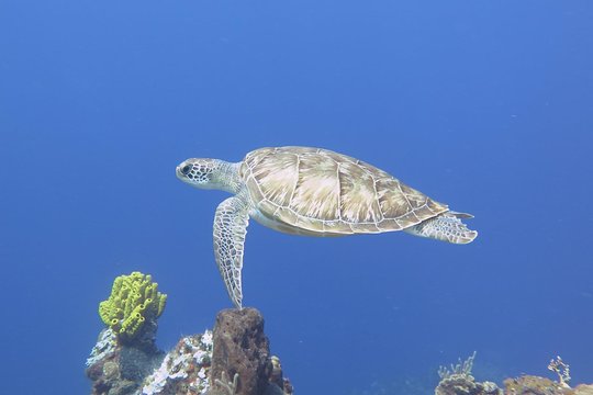 Tour image 2