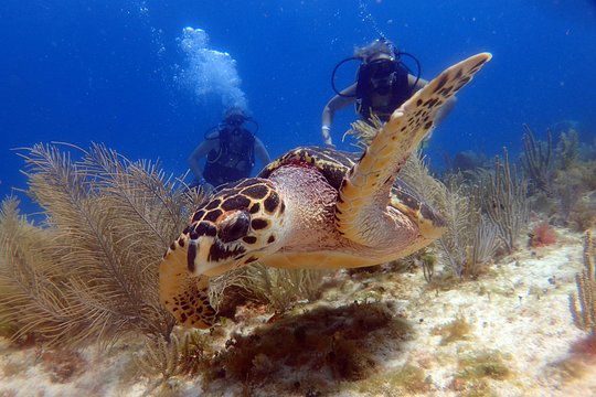 Tour image 8