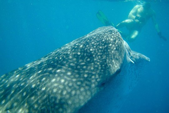 Tour image 6