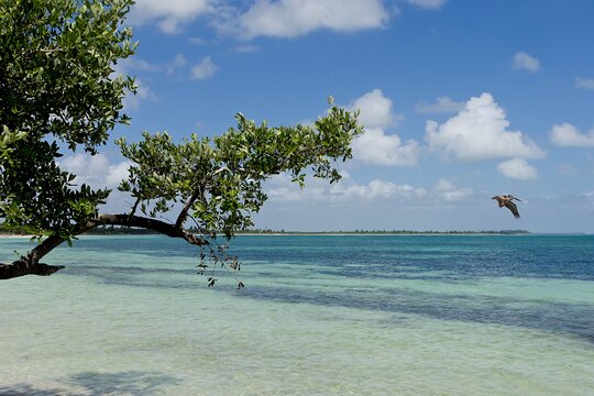 Tour image 6