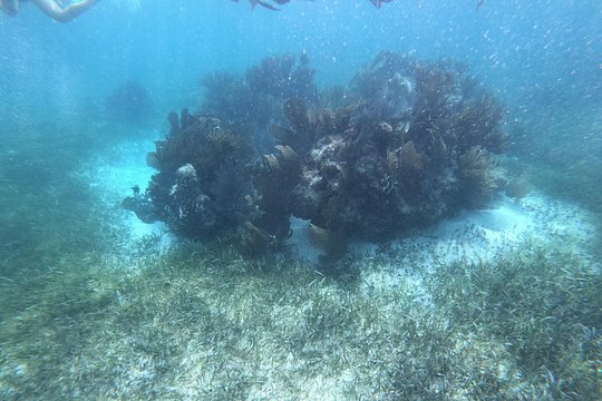 Tour image 7