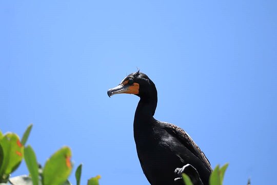 Tour image 11