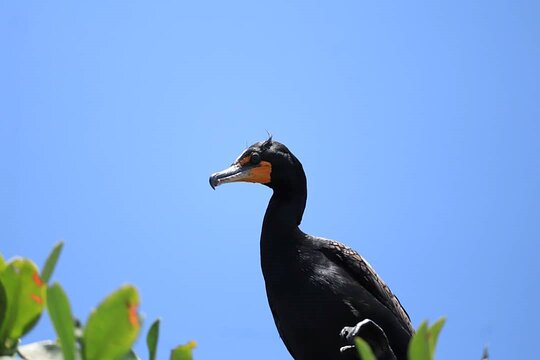 Tour image 2